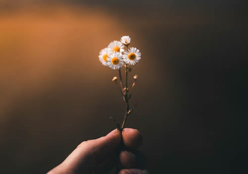 情绪调节心理咨询